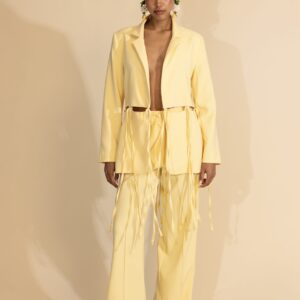 Be A Bee sunray butter yellow blazer front view